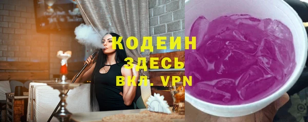шишки Белоозёрский