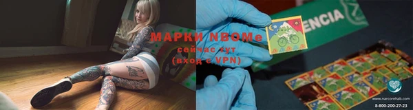 шишки Белоозёрский