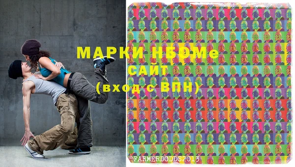 шишки Белоозёрский