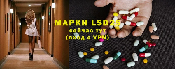 шишки Белоозёрский
