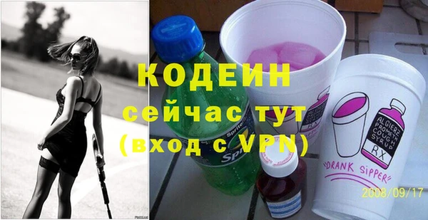 шишки Белоозёрский