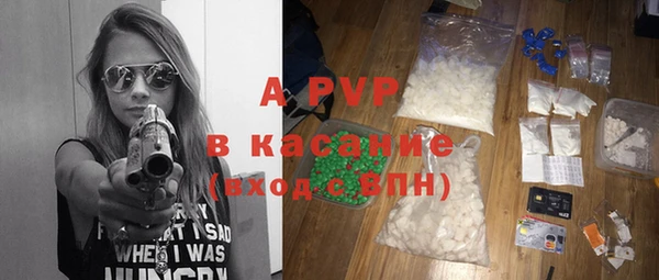 шишки Белоозёрский