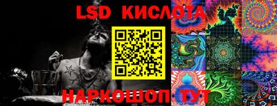 spice Камышлов