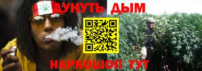 spice Камышлов