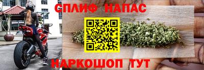 крисы Канаш