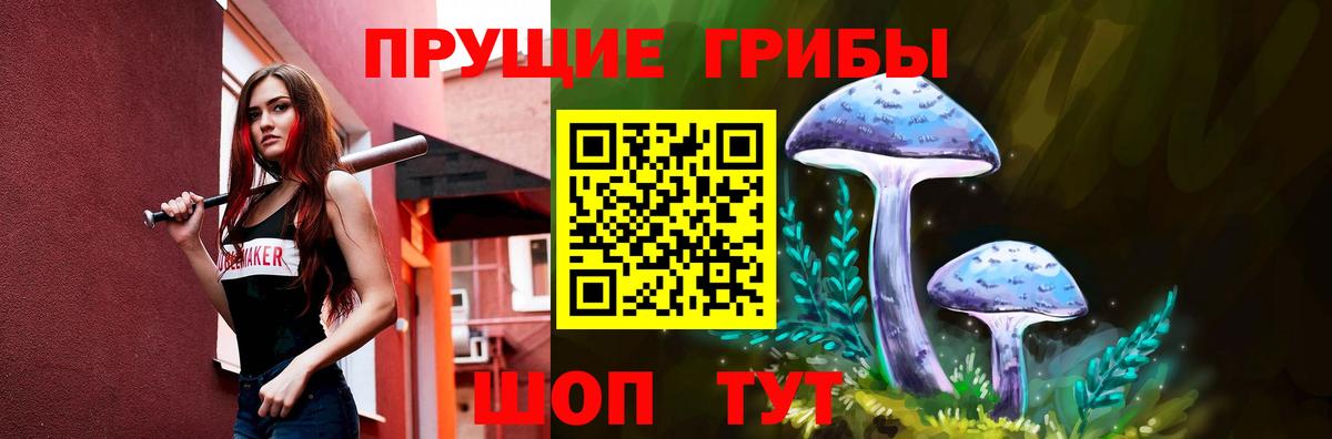 Галлюциногенные грибы Psilocybe  Вход с VPN  Надым 